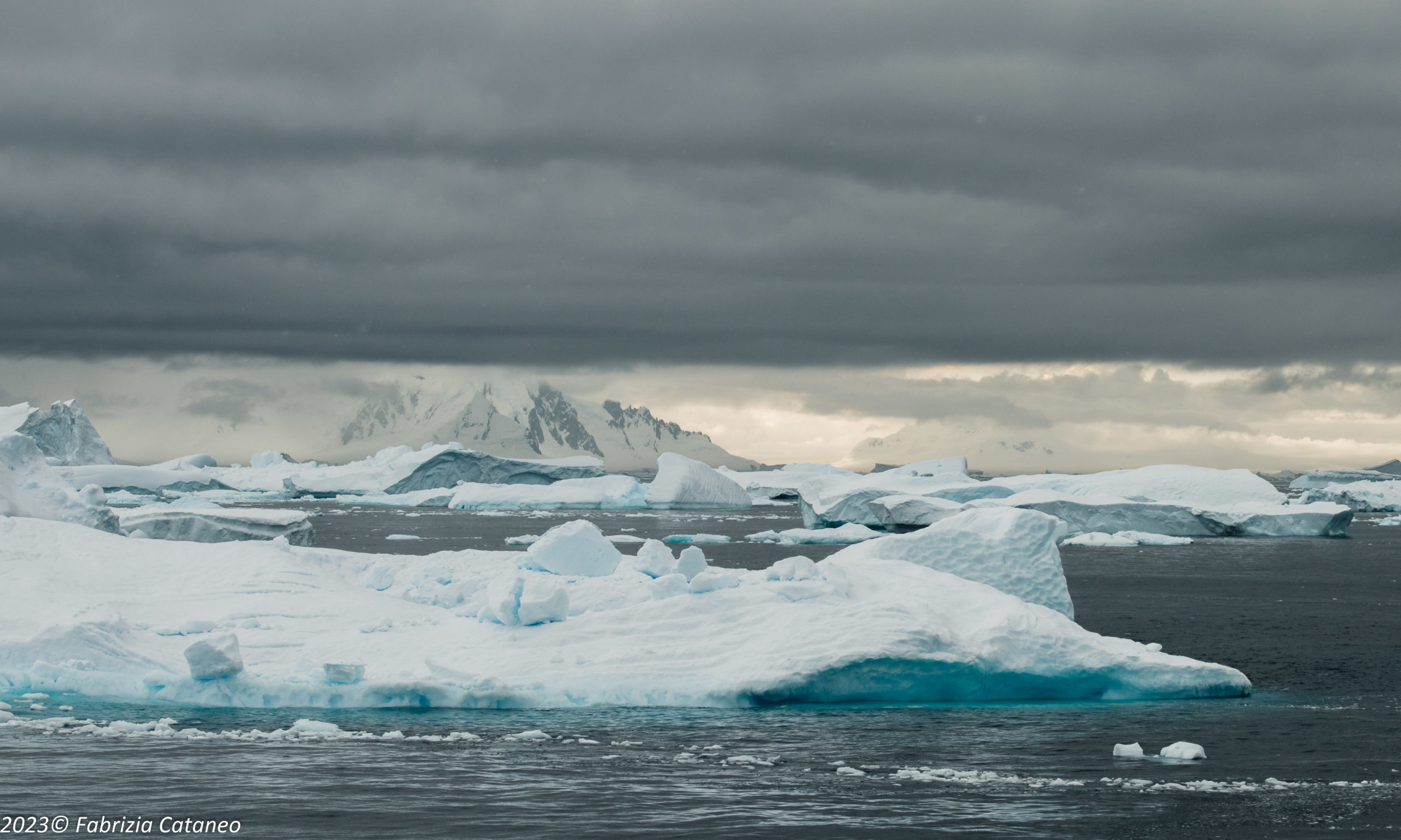 Icebergs seen while approaching Fish Islands, the entrance to Holtedahl Bay, off the west coast of Graham Land, Antarctica. Photo: Fabrizia Cataneo